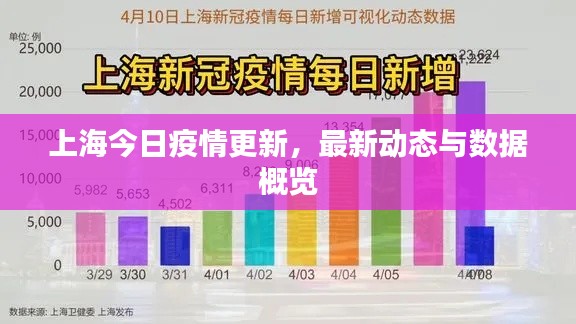 上海今日疫情更新，最新動(dòng)態(tài)與數(shù)據(jù)概覽