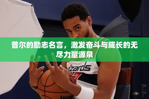 普爾的勵(lì)志名言，激發(fā)奮斗與成長的無盡力量源泉