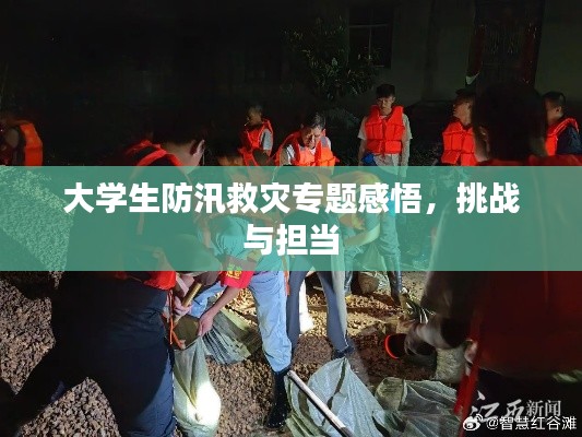 大學生防汛救災(zāi)專題感悟，挑戰(zhàn)與擔當