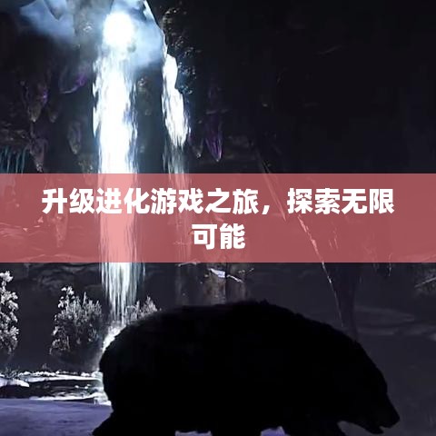 升級進(jìn)化游戲之旅，探索無限可能