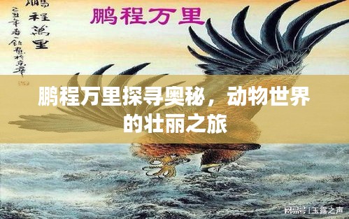 鵬程萬里探尋奧秘，動物世界的壯麗之旅