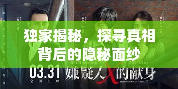 獨(dú)家揭秘，探尋真相背后的隱秘面紗