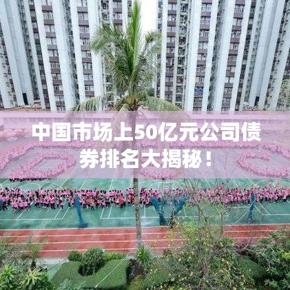 中國(guó)市場(chǎng)上50億元公司債券排名大揭秘！