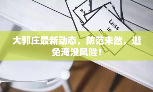大郭莊最新動態(tài)，防范未然，避免淹沒風(fēng)險！