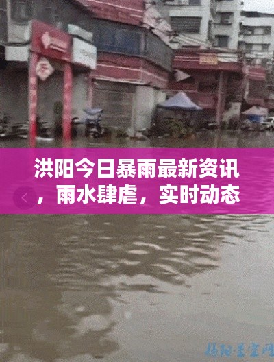 洪陽今日暴雨最新資訊，雨水肆虐，實時動態(tài)關(guān)注！