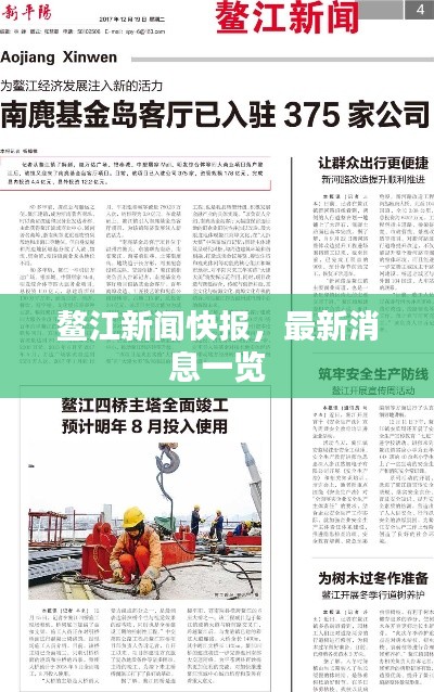 鰲江新聞快報，最新消息一覽