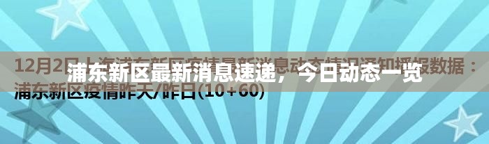 浦東新區(qū)最新消息速遞，今日動(dòng)態(tài)一覽