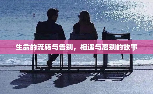 生命的流轉(zhuǎn)與告別，相遇與離別的故事