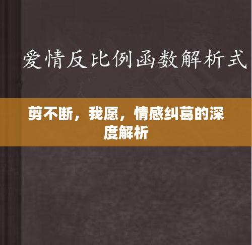 剪不斷，我愿，情感糾葛的深度解析
