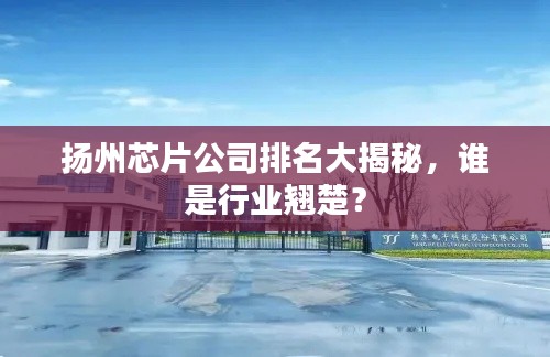 揚州芯片公司排名大揭秘，誰是行業(yè)翹楚？