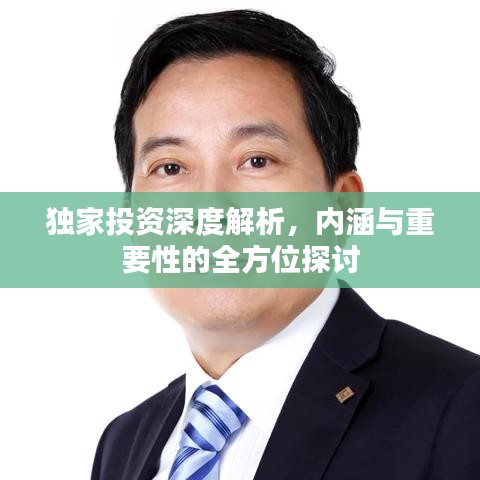 獨家投資深度解析，內(nèi)涵與重要性的全方位探討