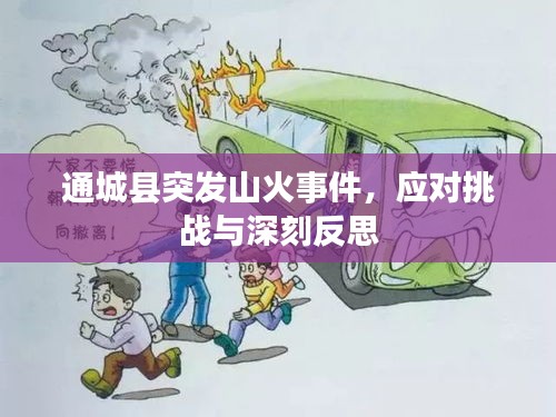 通城縣突發(fā)山火事件，應對挑戰(zhàn)與深刻反思