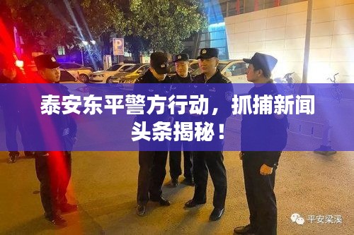 泰安東平警方行動，抓捕新聞頭條揭秘！