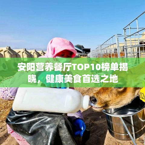 安陽營養(yǎng)餐廳TOP10榜單揭曉，健康美食首選之地