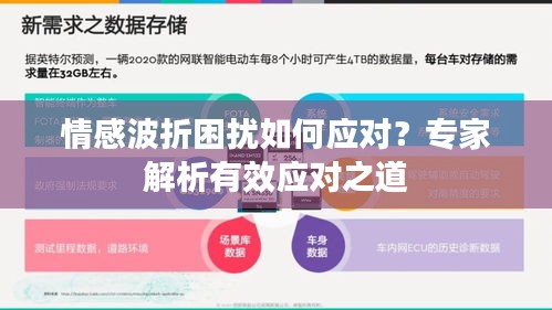 情感波折困擾如何應(yīng)對？專家解析有效應(yīng)對之道