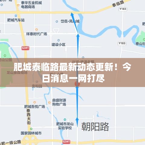 肥城泰臨路最新動態(tài)更新！今日消息一網(wǎng)打盡