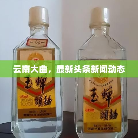 云南大曲，最新頭條新聞動(dòng)態(tài)