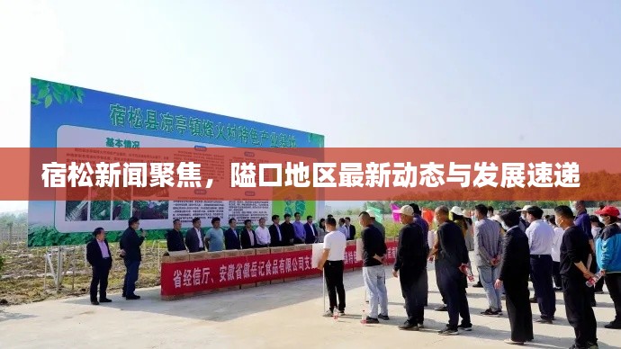 宿松新聞聚焦，隘口地區(qū)最新動(dòng)態(tài)與發(fā)展速遞