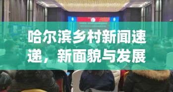 哈爾濱鄉(xiāng)村新聞速遞，新面貌與發(fā)展活力展現(xiàn)