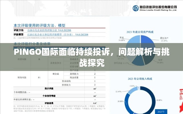 PINGO國際面臨持續(xù)投訴，問題解析與挑戰(zhàn)探究