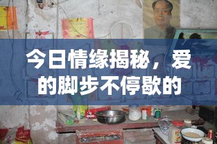 今日情緣揭秘，愛的腳步不停歇的最新動態(tài)