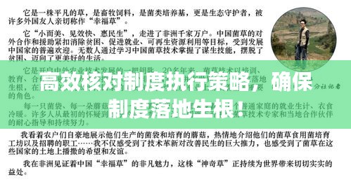 高效核對制度執(zhí)行策略，確保制度落地生根！