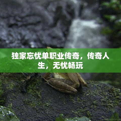 獨家忘憂單職業(yè)傳奇，傳奇人生，無憂暢玩