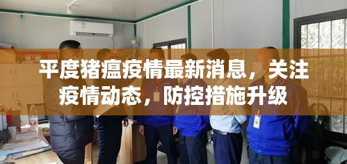 平度豬瘟疫情最新消息，關(guān)注疫情動(dòng)態(tài)，防控措施升級(jí)