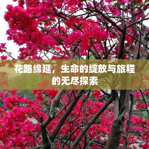 花路綿延，生命的綻放與旅程的無(wú)盡探索