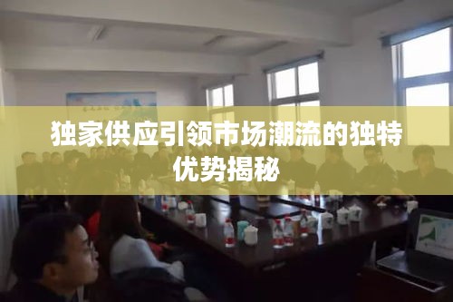 獨家供應引領市場潮流的獨特優(yōu)勢揭秘