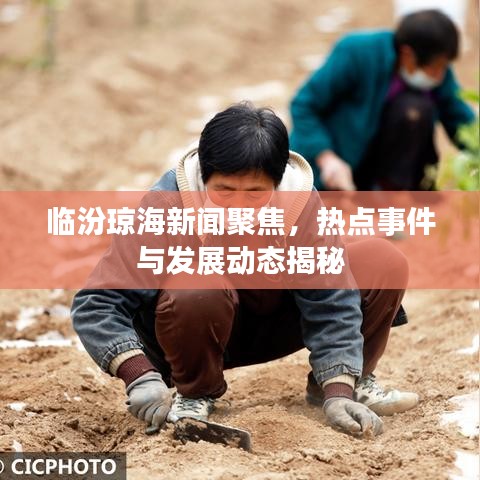臨汾瓊海新聞聚焦，熱點(diǎn)事件與發(fā)展動(dòng)態(tài)揭秘