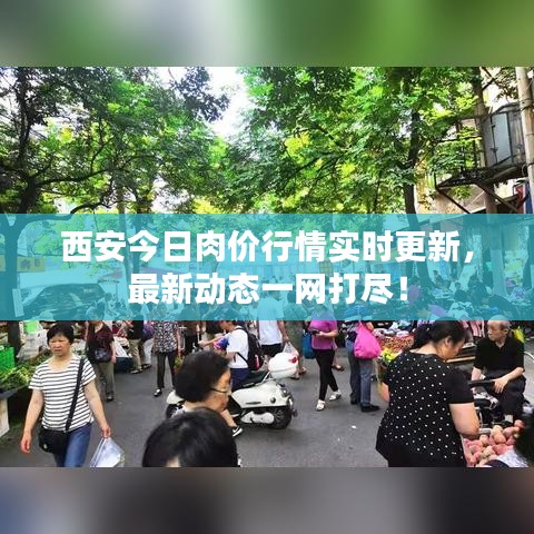 西安今日肉價(jià)行情實(shí)時(shí)更新，最新動態(tài)一網(wǎng)打盡！
