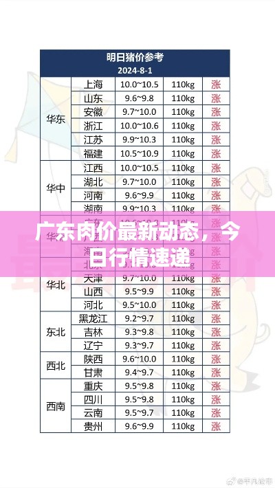 廣東肉價最新動態(tài)，今日行情速遞
