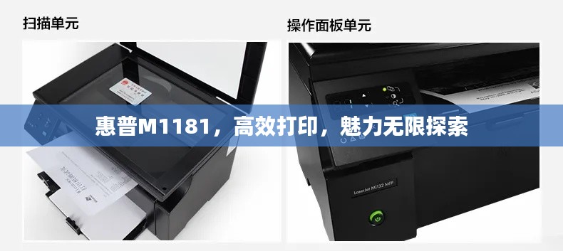 惠普M1181，高效打印，魅力無限探索