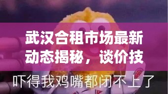 武漢合租市場(chǎng)最新動(dòng)態(tài)揭秘，談價(jià)技巧與租房攻略分享