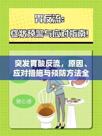突發(fā)胃酸反流，原因、應(yīng)對(duì)措施與預(yù)防方法全解析