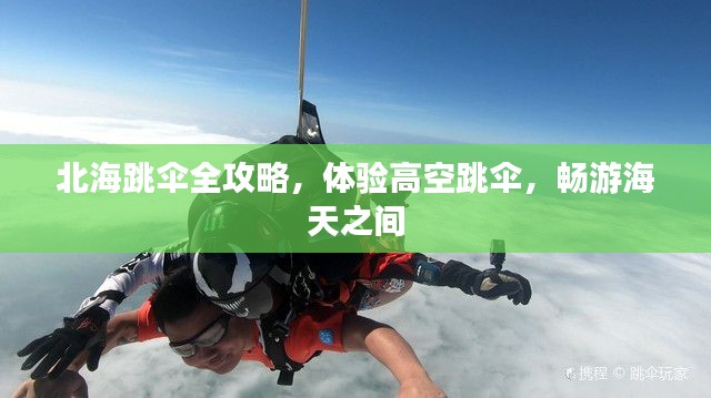 北海跳傘全攻略，體驗(yàn)高空跳傘，暢游海天之間