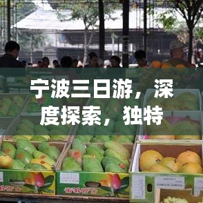 寧波三日游，深度探索，獨(dú)特體驗(yàn)之旅