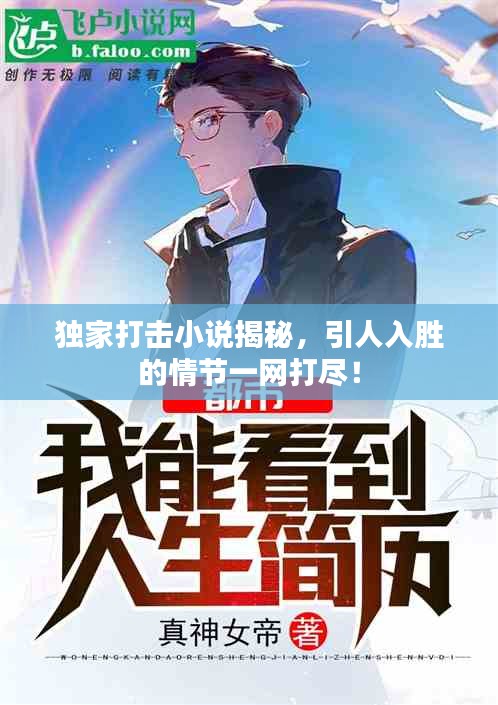 獨家打擊小說揭秘，引人入勝的情節(jié)一網(wǎng)打盡！