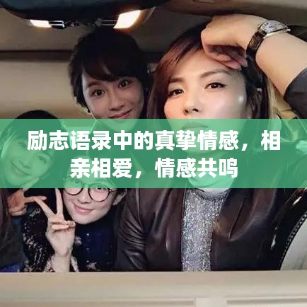 勵志語錄中的真摯情感，相親相愛，情感共鳴