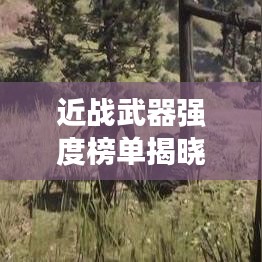 近戰(zhàn)武器強(qiáng)度榜單揭曉，前十名武器實(shí)力比拼！