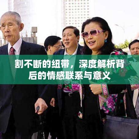 割不斷的紐帶，深度解析背后的情感聯(lián)系與意義