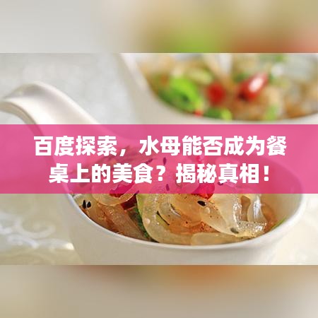 百度探索，水母能否成為餐桌上的美食？揭秘真相！
