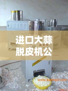 進口大蒜脫皮機公司排行榜揭曉，權威排名一網打盡！