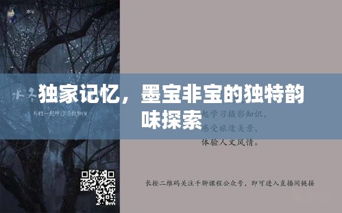 獨(dú)家記憶，墨寶非寶的獨(dú)特韻味探索
