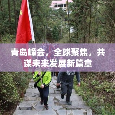 青島峰會(huì)，全球聚焦，共謀未來(lái)發(fā)展新篇章