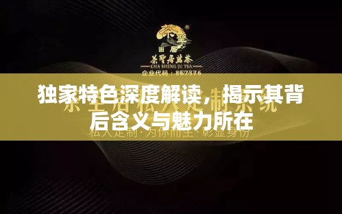 獨(dú)家特色深度解讀，揭示其背后含義與魅力所在