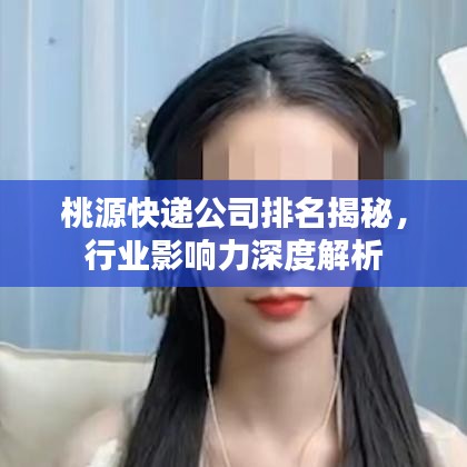 桃源快遞公司排名揭秘，行業(yè)影響力深度解析
