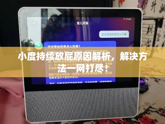 小度持續(xù)放屁原因解析，解決方法一網(wǎng)打盡！