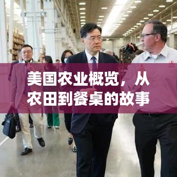 美國農業(yè)概覽，從農田到餐桌的故事，百度帶你探索！
